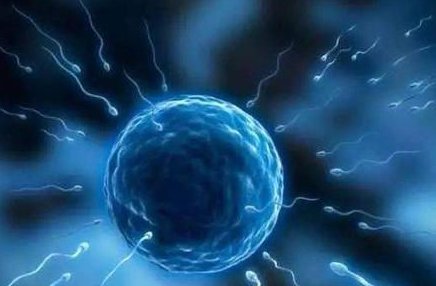 2026看儿科去杭州儿保滨院区好还是湖滨院区好？