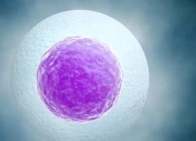 试管移植后不需要天天躺，掌握正确姿势和时间才是关键