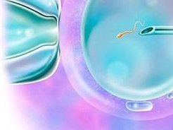 新乡有可以做试管婴儿的私立机构吗？影响成功率的因素有哪些？