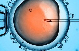 温州办三代试管婴儿成功率较高的医院排名已更新