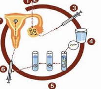 2026南通试管婴儿医院排名，附试管费用、成功率一览