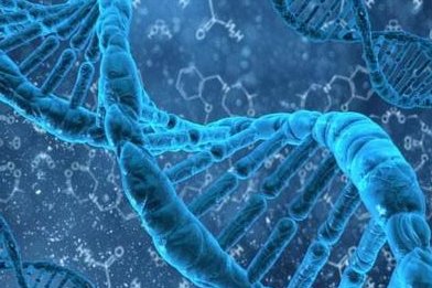 2026年在南宁试管婴儿是否需要结婚证及政策变化与影响解析