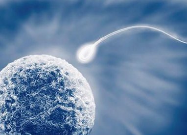 长方案or短方案哪个好？试管促排卵适合自己成功率才高