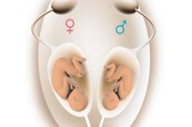 月经第几天是冻胚胎移植的较佳时间？